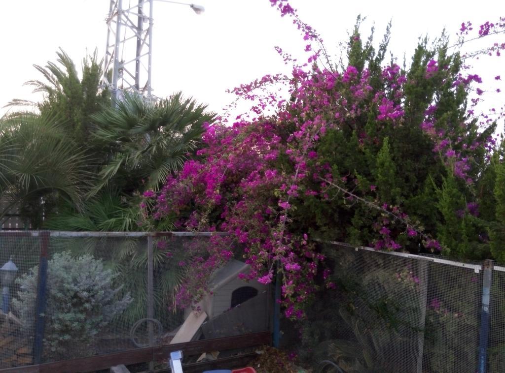 Castel Ashkelon Ξενοδοχείο Εξωτερικό φωτογραφία