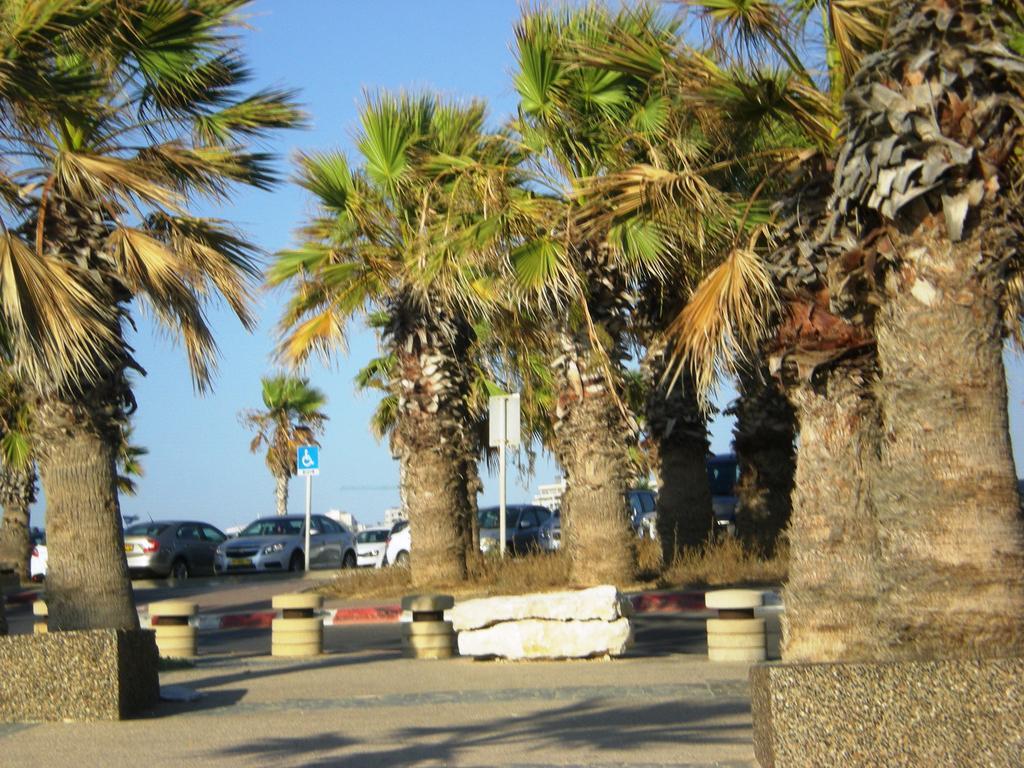 Castel Ashkelon Ξενοδοχείο Εξωτερικό φωτογραφία